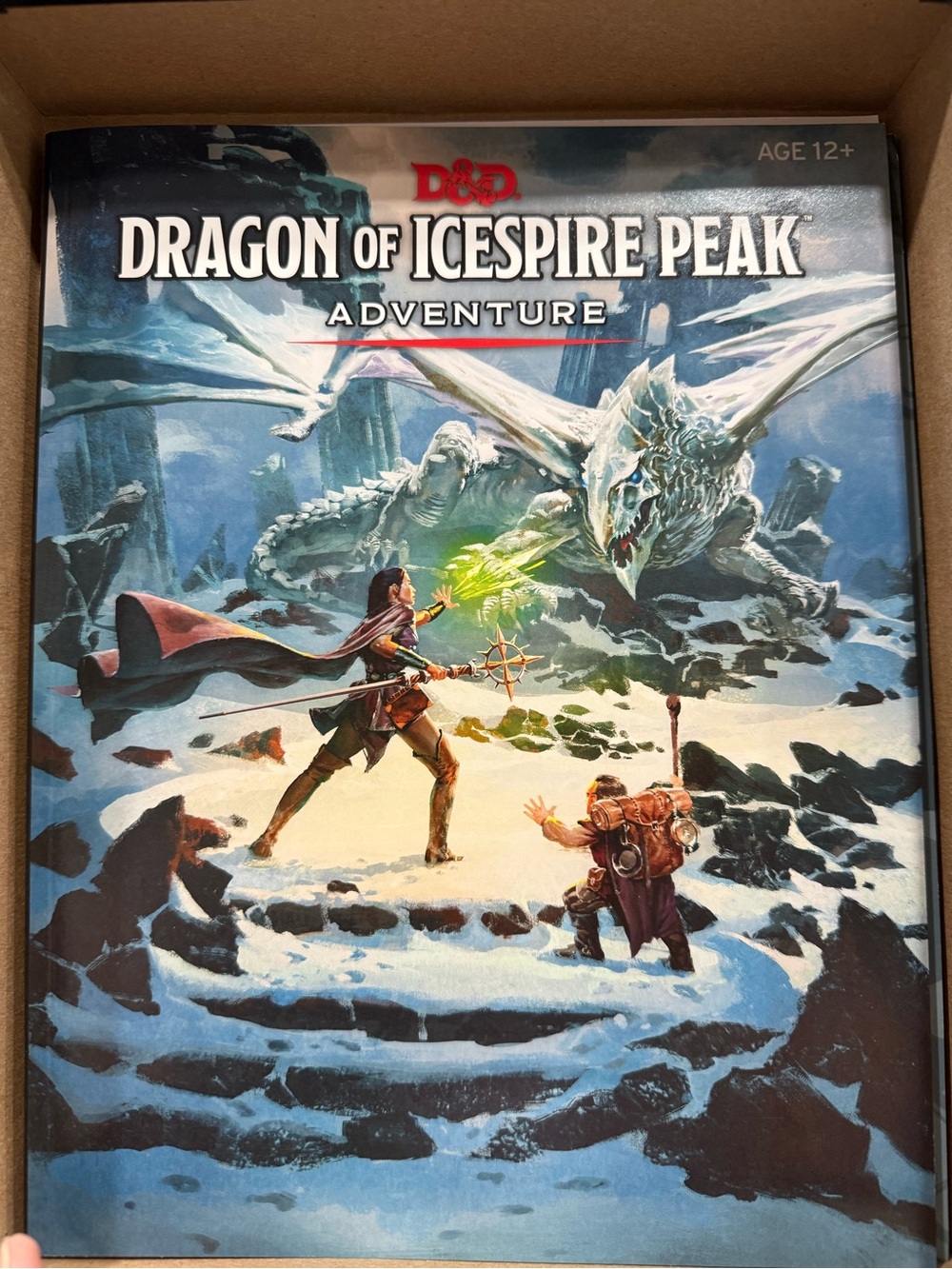 D&D Essentials Kit - Blue Box - Picture 2 of 6